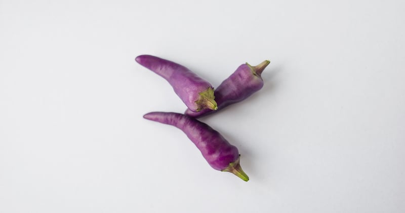 Adoptez le style vestimentaire inspiré des Red Hot Chili Peppers