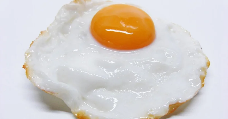 Des exemples de repas simples à préparer